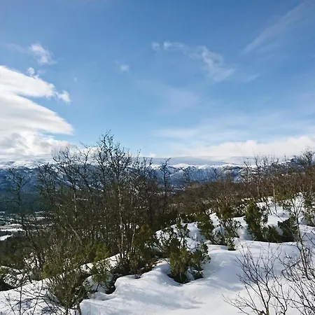 Bassebu-updalstol Tyinkrysset