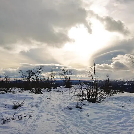 Bassebuupdalstol * Tyinkrysset