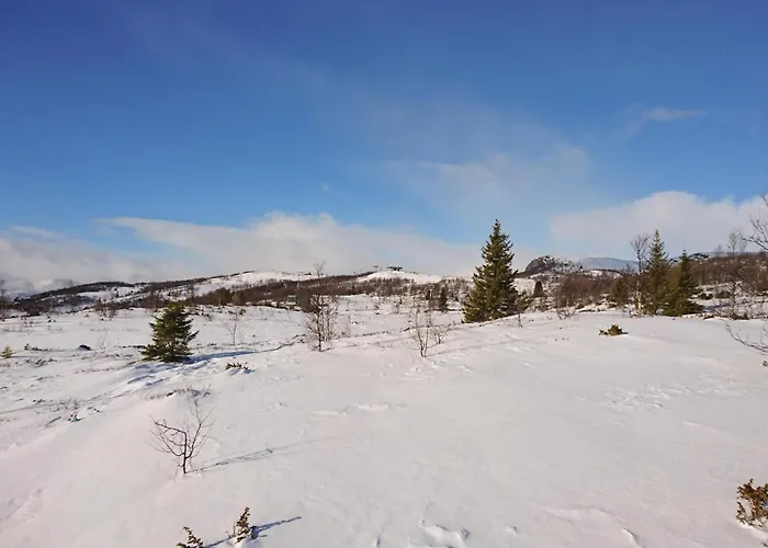 Vakantiehuis Bassebuupdalstol Tyinkrysset