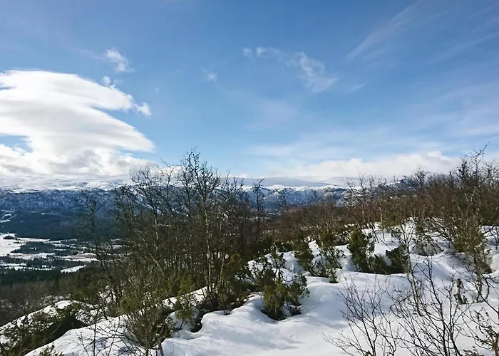 Bassebuupdalstol Tyinkrysset