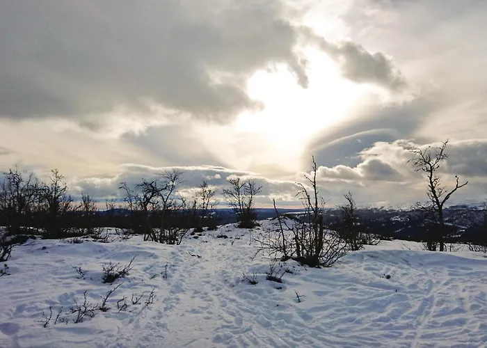 Bassebuupdalstol * Tyinkrysset