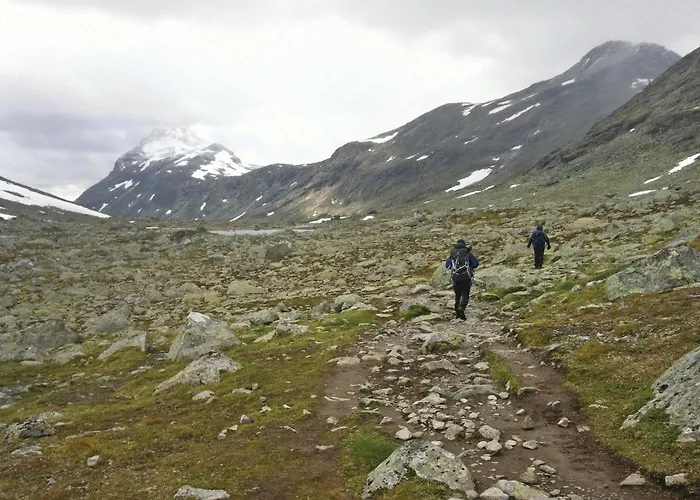 Bassebuupdalstol Tyinkrysset