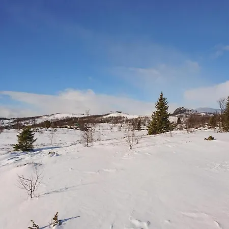 度假居 Bassebuupdalstol Tyinkrysset