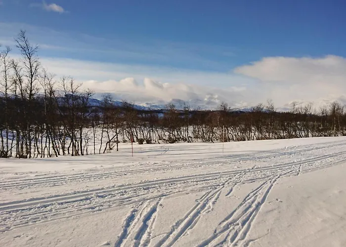 度假居 Bassebuupdalstol *
